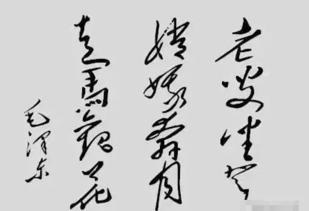 毛澤東送給尼克松12字墨寶，尼克松看后一頭霧水，近50年無人能解