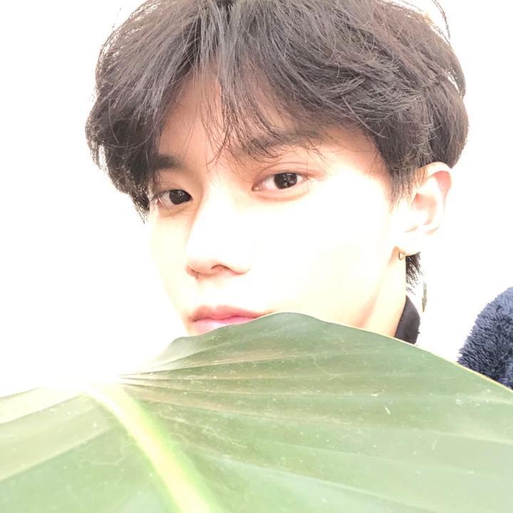 抖音网红千千万，你又认识哪几位呢？