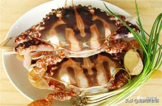 市场常见的102种海鲜，肉质鲜美，营养丰富，你们吃过几种？