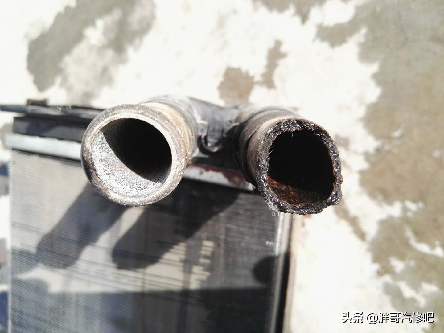 捷达暖风水箱爆裂，车里面能养“海豚”，顺便看看什么是黑心棉