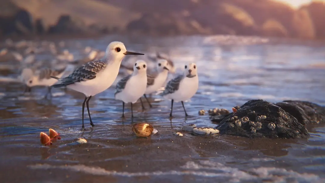 3分奥斯卡最佳动画,用一只鸟告诉你成长的美妙