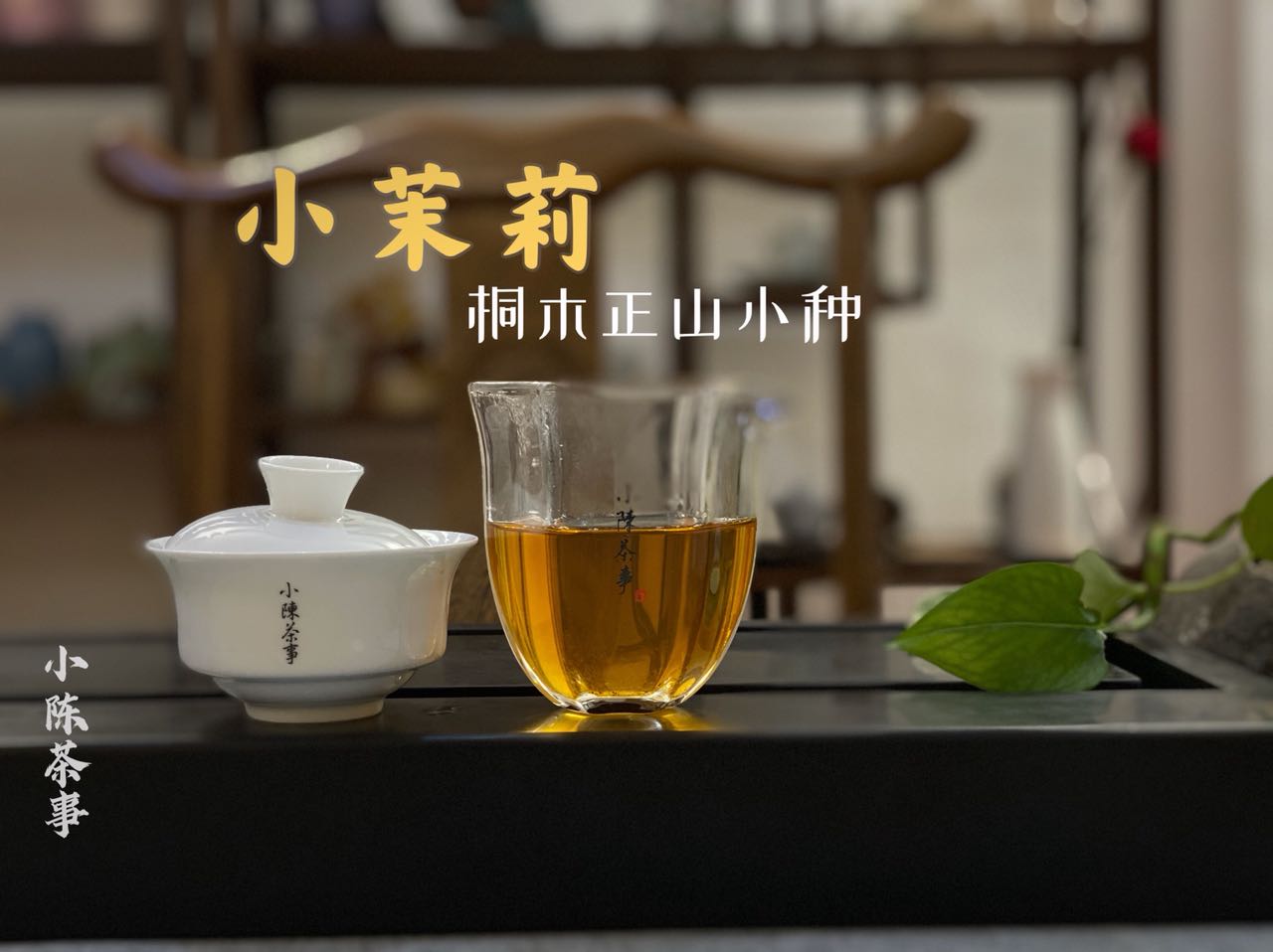 红茶怎么冲泡更好喝？带你了解正确的冲泡方法，新手小白也能懂