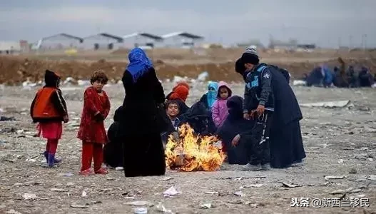 2018年新西兰5种主要移民途径!最便宜不到5万元人民币