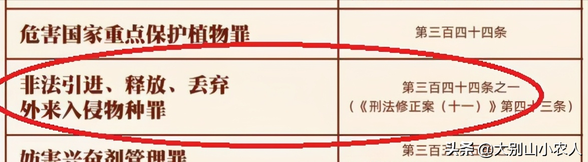 十大鳄鱼排行榜：鳄雀鳝位列其中的巨型爬行动物排名