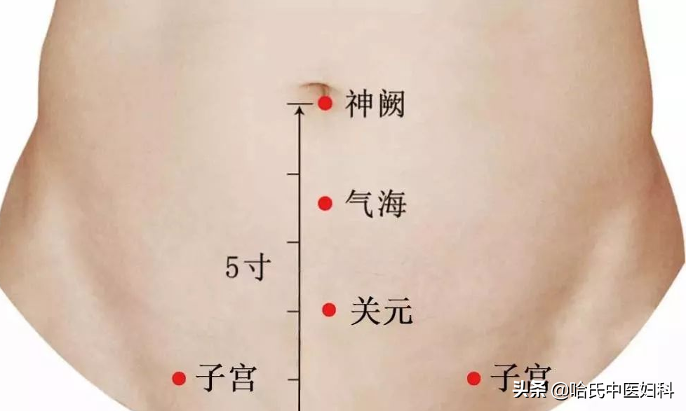 25岁的姑娘，52岁的卵巢？卵巢早衰怎么办？试试这味良方