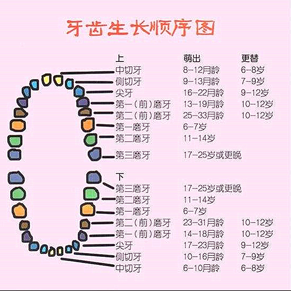 这些症状说明宝宝正处在长牙期，长牙顺序与情况一目了然，快上车