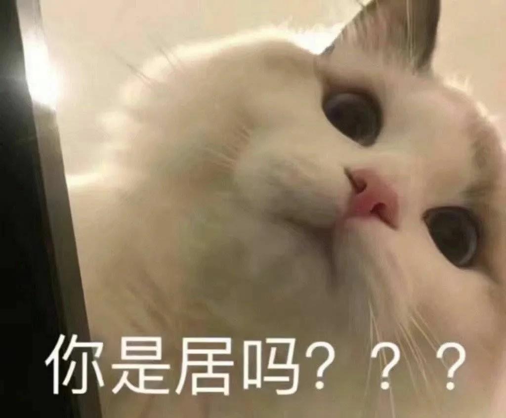 雕表情包 我是一个没有感情的小猪头