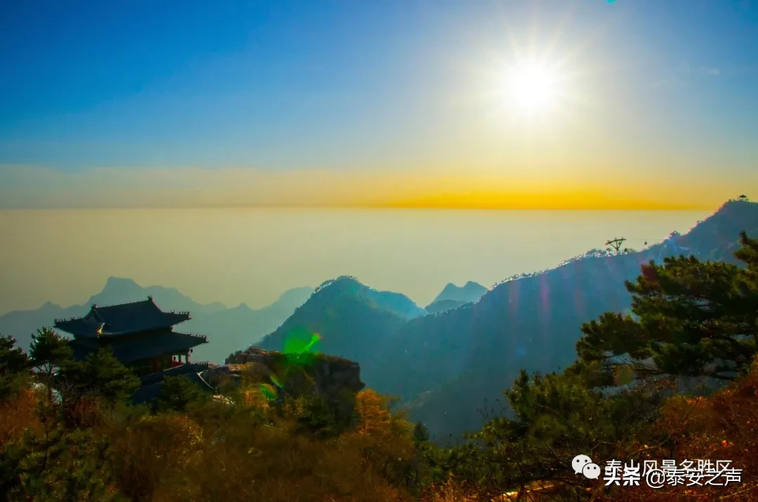 深秋泰山：一年好景君须记，最是橙黄橘绿时