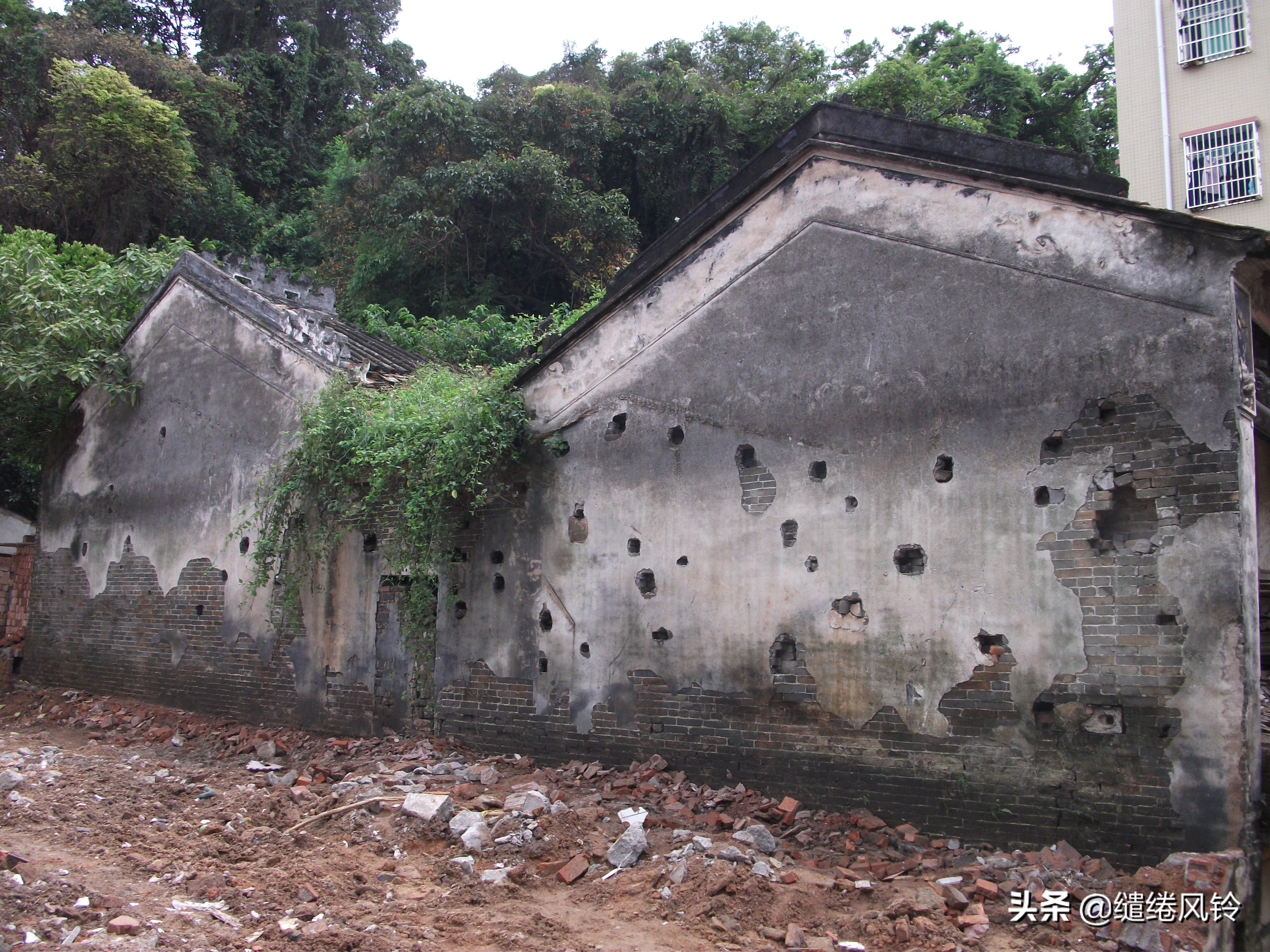 珠海界涌村：山藏古庙云藏树，揭秘清代初年“灵坟后蒙”显灵传闻