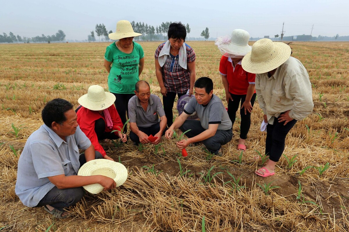 农村土地征收有新要求，北京一亩地可补贴28万？土地征收补偿标准