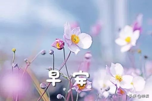 保持尊严，自尊至上——早安提醒