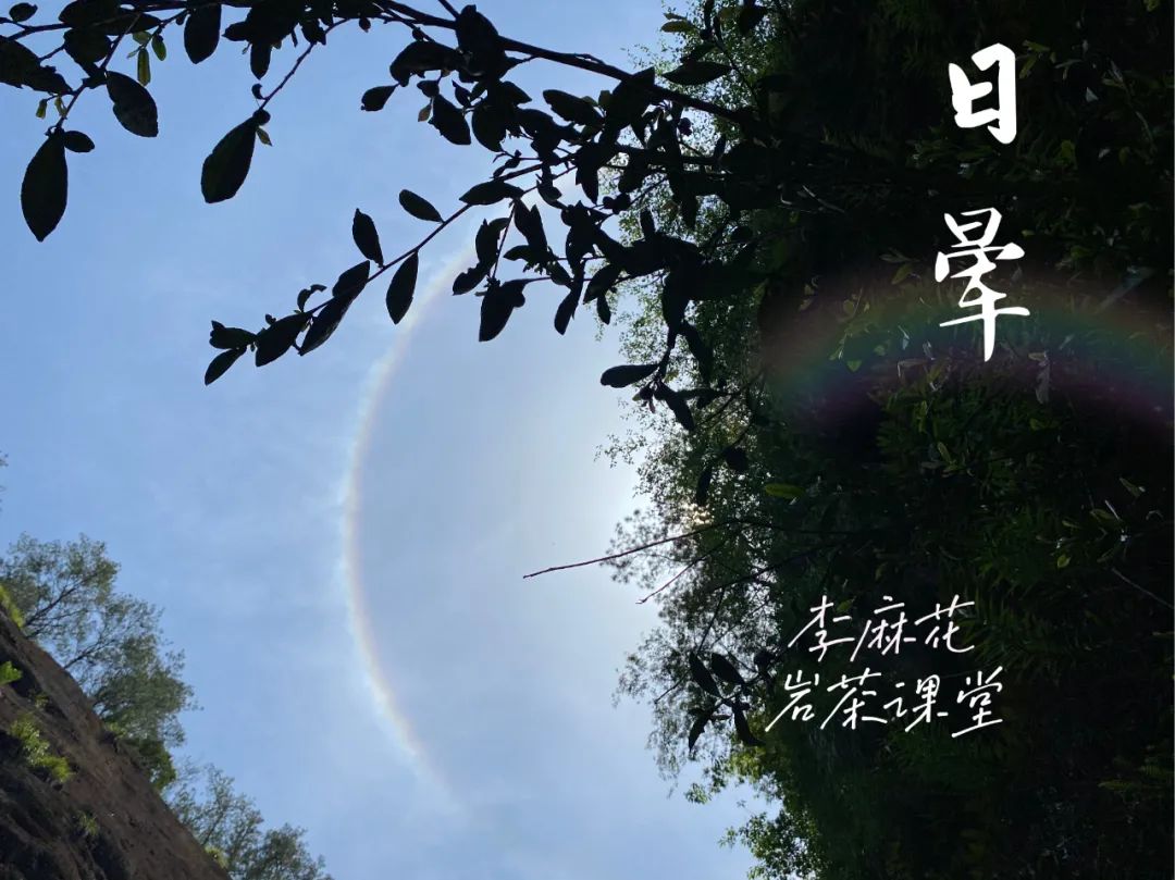 水仙、肉桂、大红袍有什么特点？不懂武夷岩茶，还真说不出来