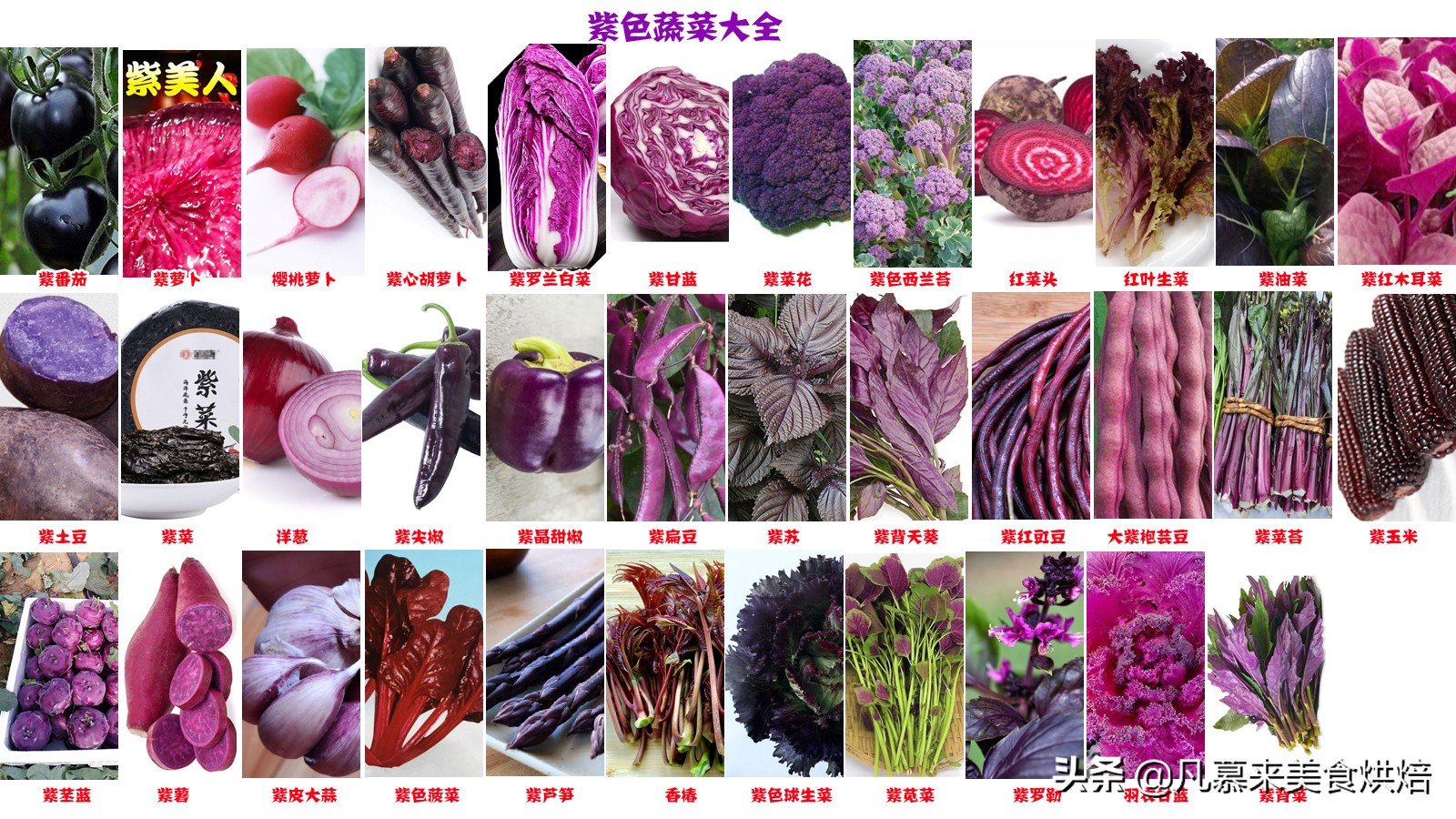 还不知道这35种紫色蔬菜你太亏了！富含花青素，营养又美味