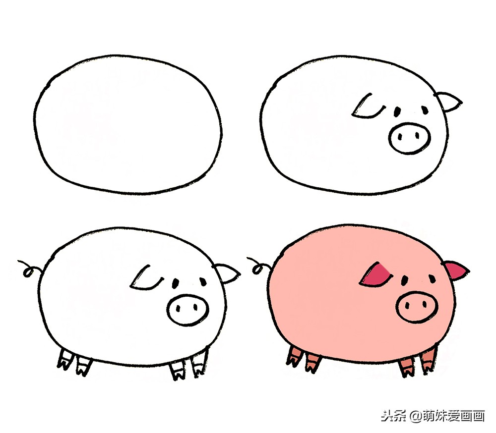 猪怎么画简单又漂亮(一只小猪简笔画画法) 第6张