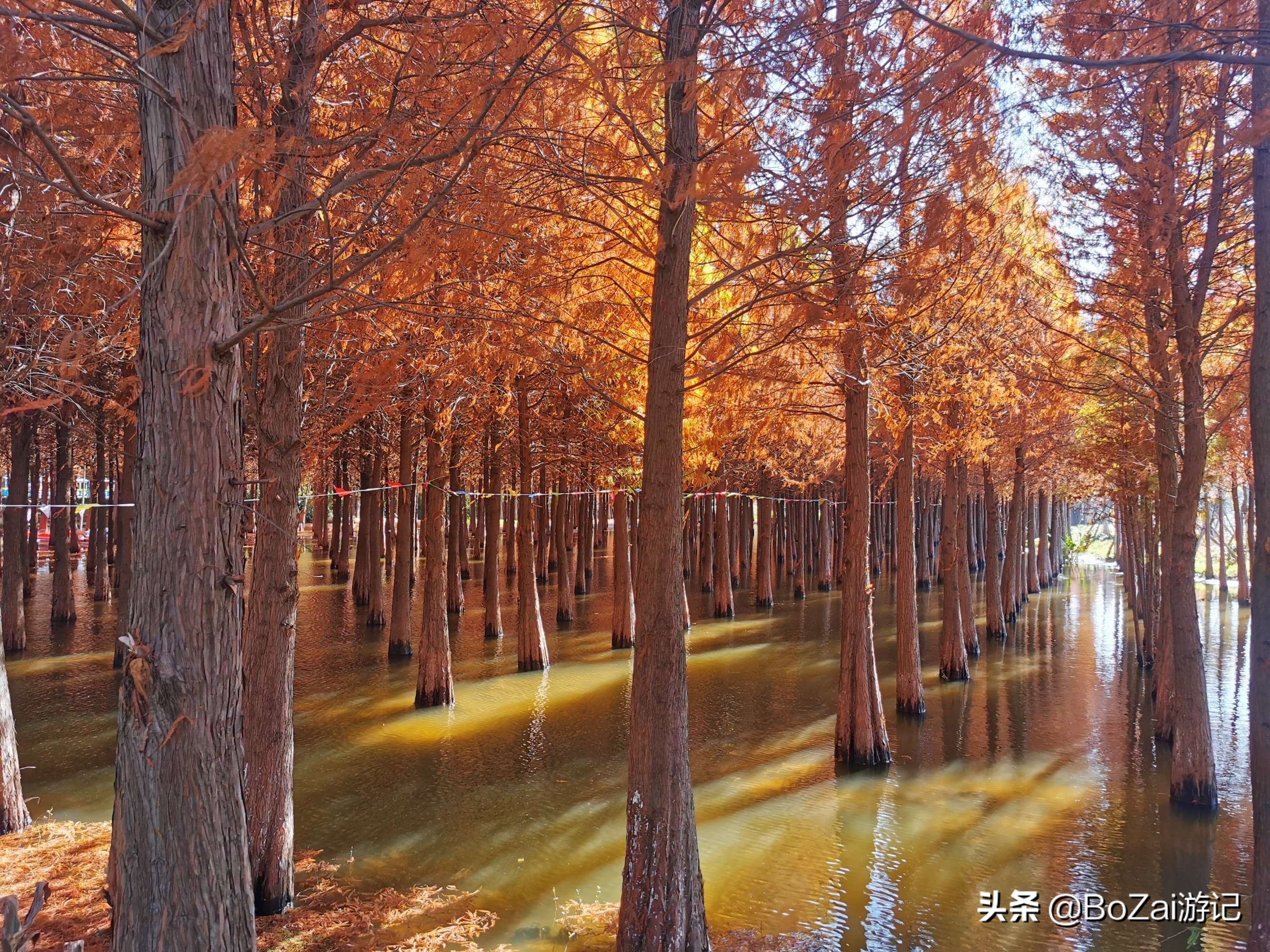 到云南昆明旅游必去的21个景点，你去过几个？最爱哪个景点？