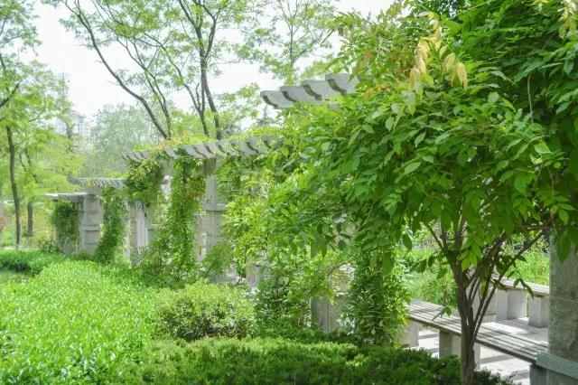 高清曝光！坐拥神仙颜值，山东最美“校花”就在这所大学里！