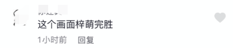 央视天团聚会！李梓萌穿露肩装颜值出众，仨新晋美女主持同框比美