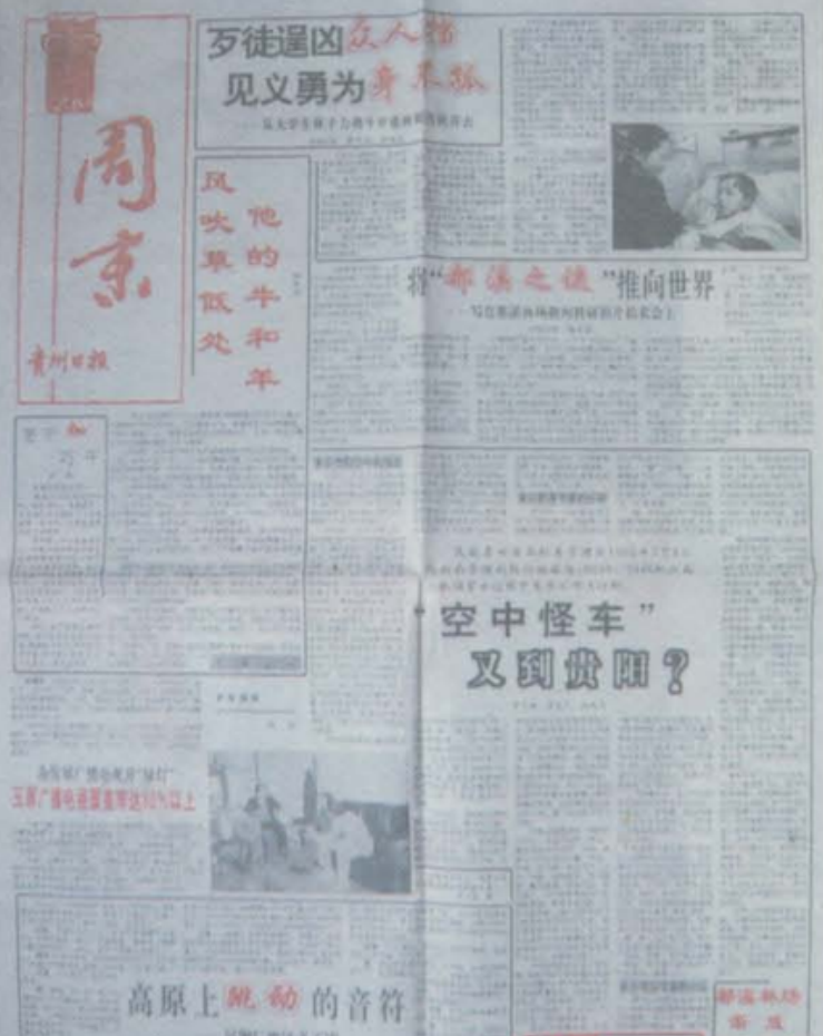 1994年，贵阳400亩松树林一夜间被拦腰截断，当时发生了什么？