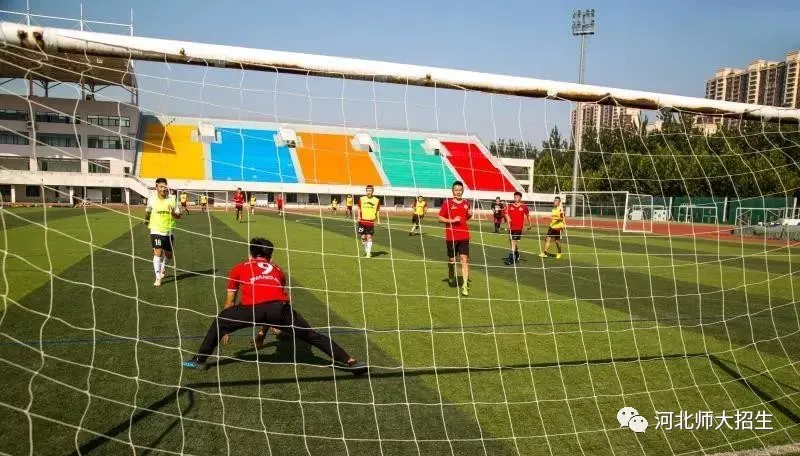 专业解读|体育教育、运动康复、运动训练、武术与民族传统体育