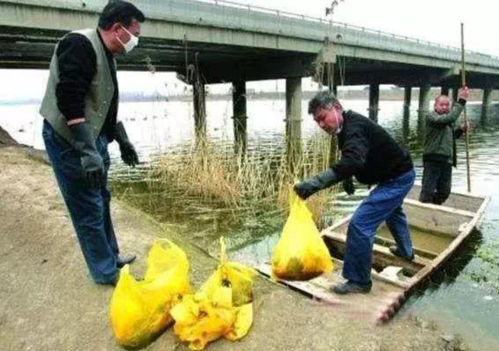 人工流产的胎儿最后都到哪了？看到这3种处理方式，你还会打胎吗