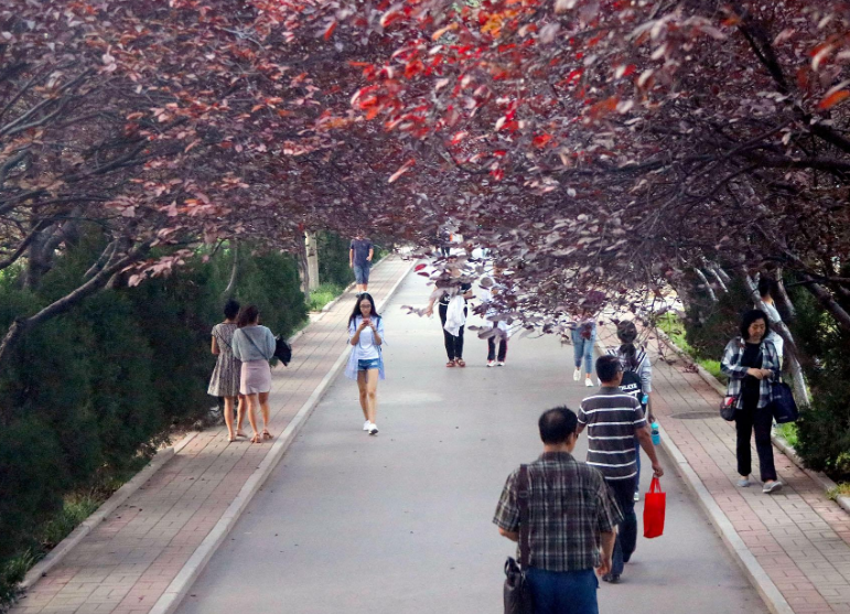 大学旷课（大学校园存在的）