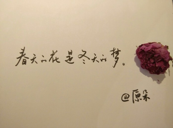 弹一首春夏秋冬，唱着时光的永恒，愿你如爱所愿，成为最幸福的人