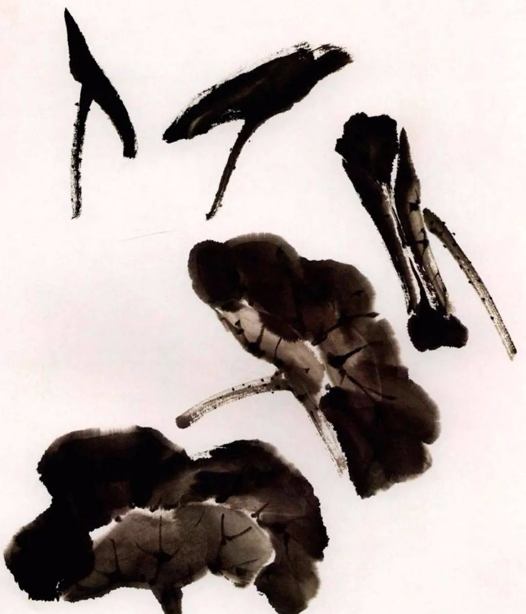 【国画教程】写意荷花,各样的荷花画法!初学者值得拥有!