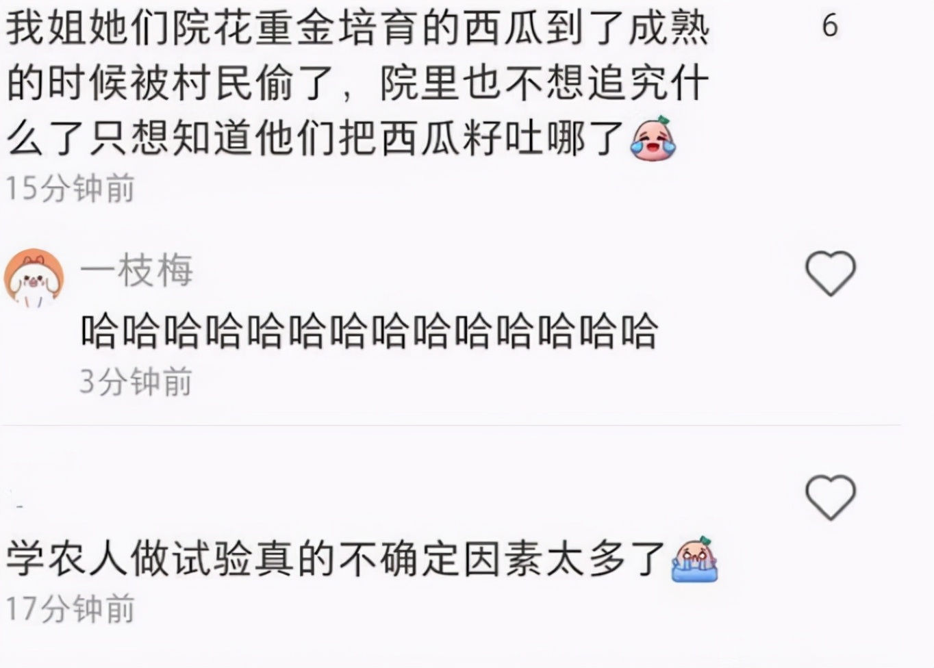 农学生挂科理由有多奇葩？西瓜被偷不算啥，油菜花被吹折太好笑了