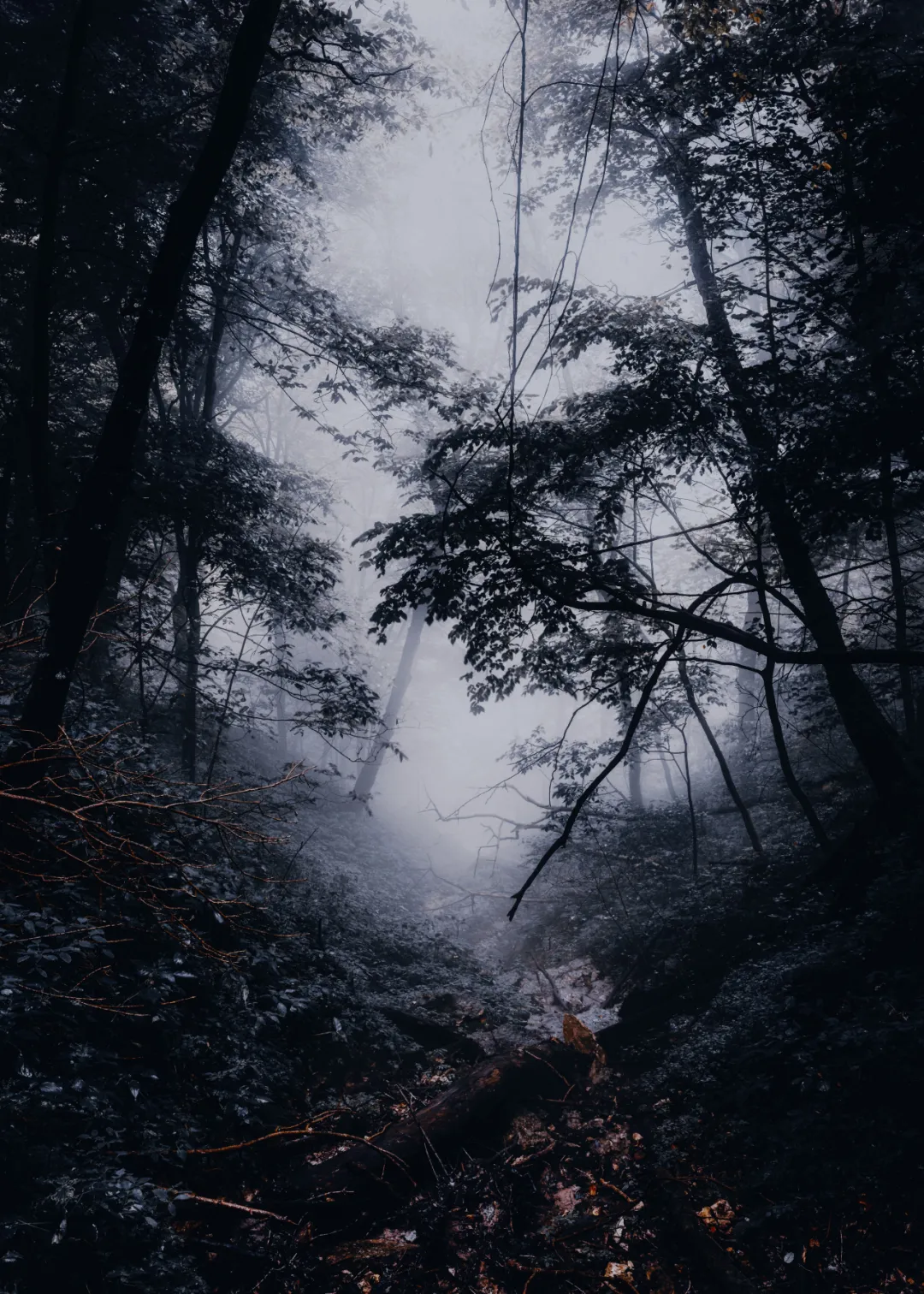 ins最新暗黑风格再来一波