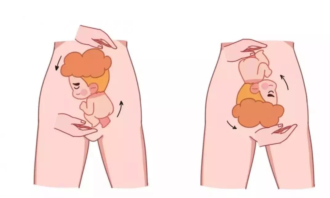 五分钟图解教你正确认识胎位