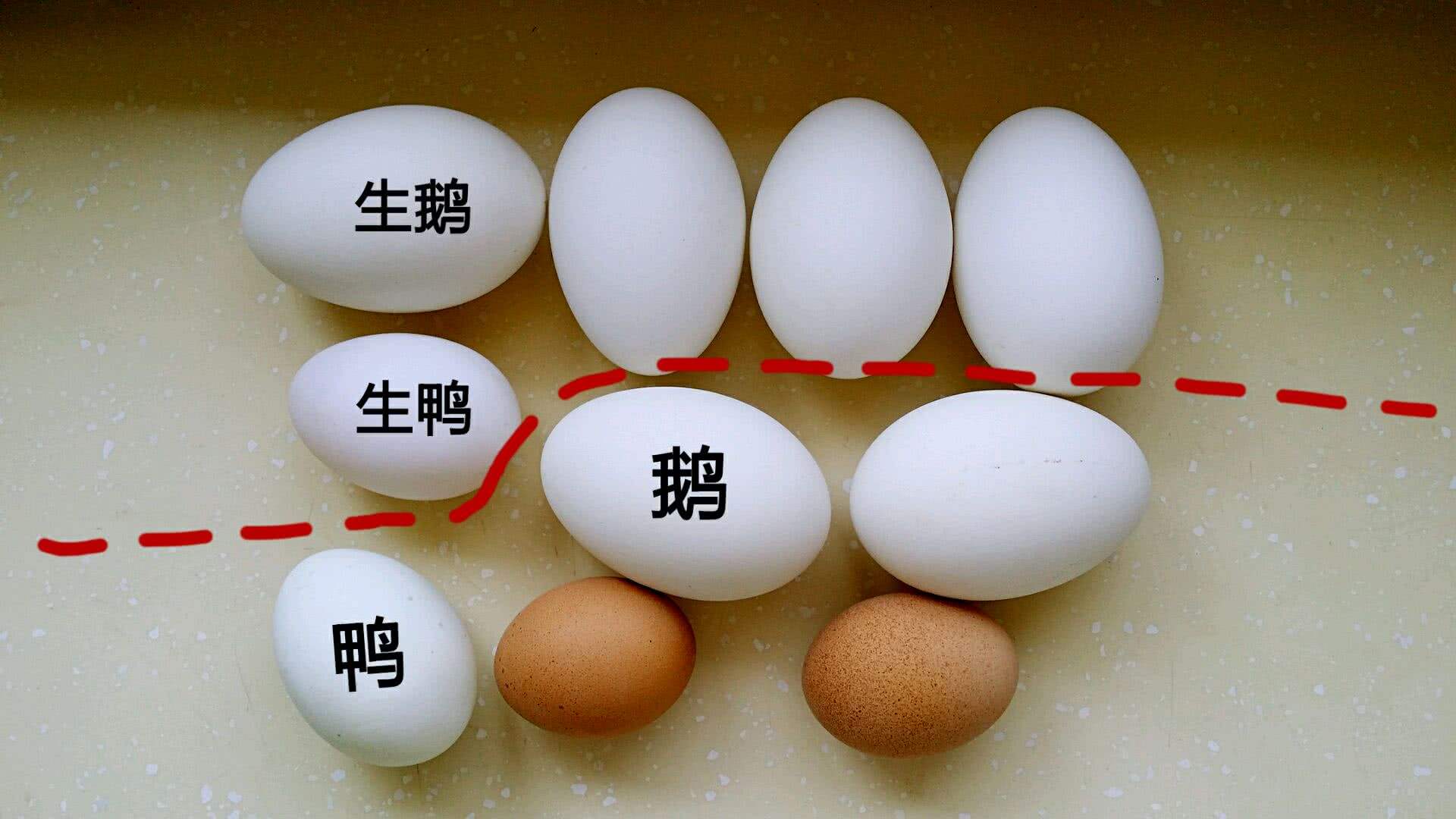 孕妇吃鹅蛋对宝宝智力发育有益