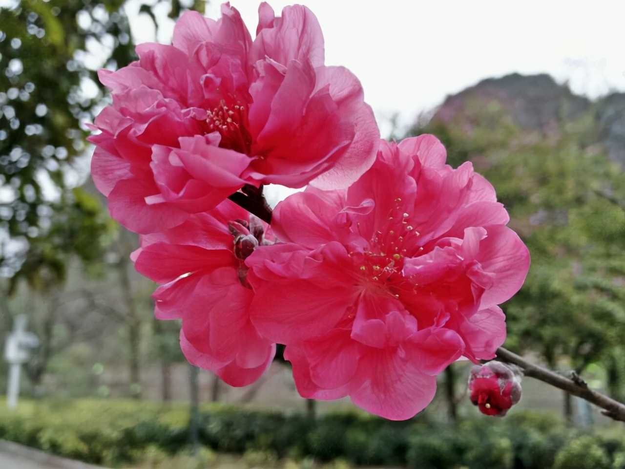 命中有“桃花劫”，多半是这三种人，有你吗？