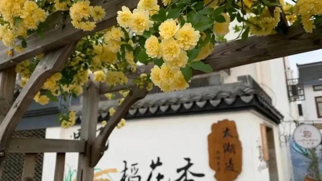 假期余额不足，苏州还有这十处美景值得打卡