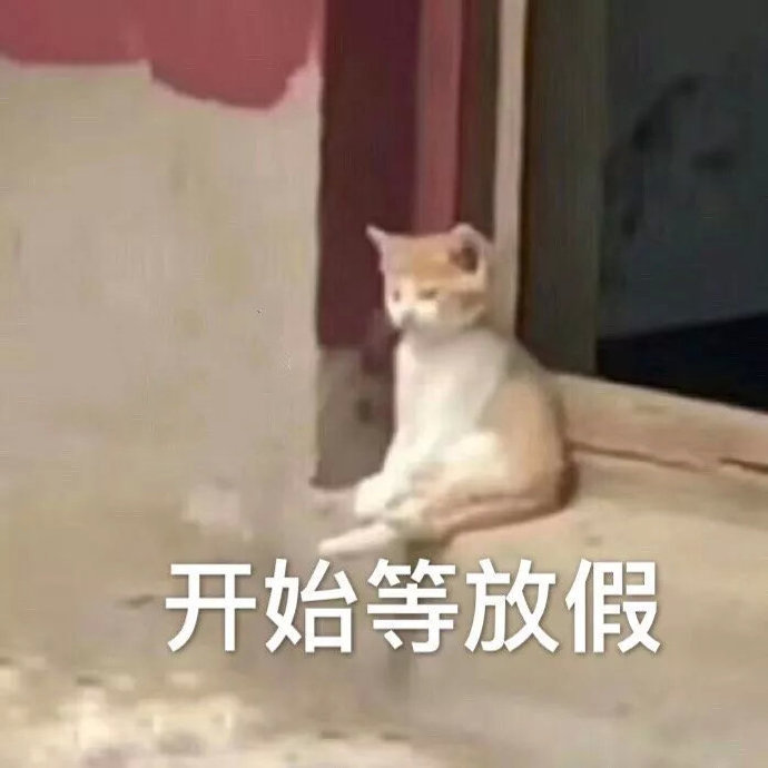 猫咪表情包合集｜大人说话，小孩别插嘴