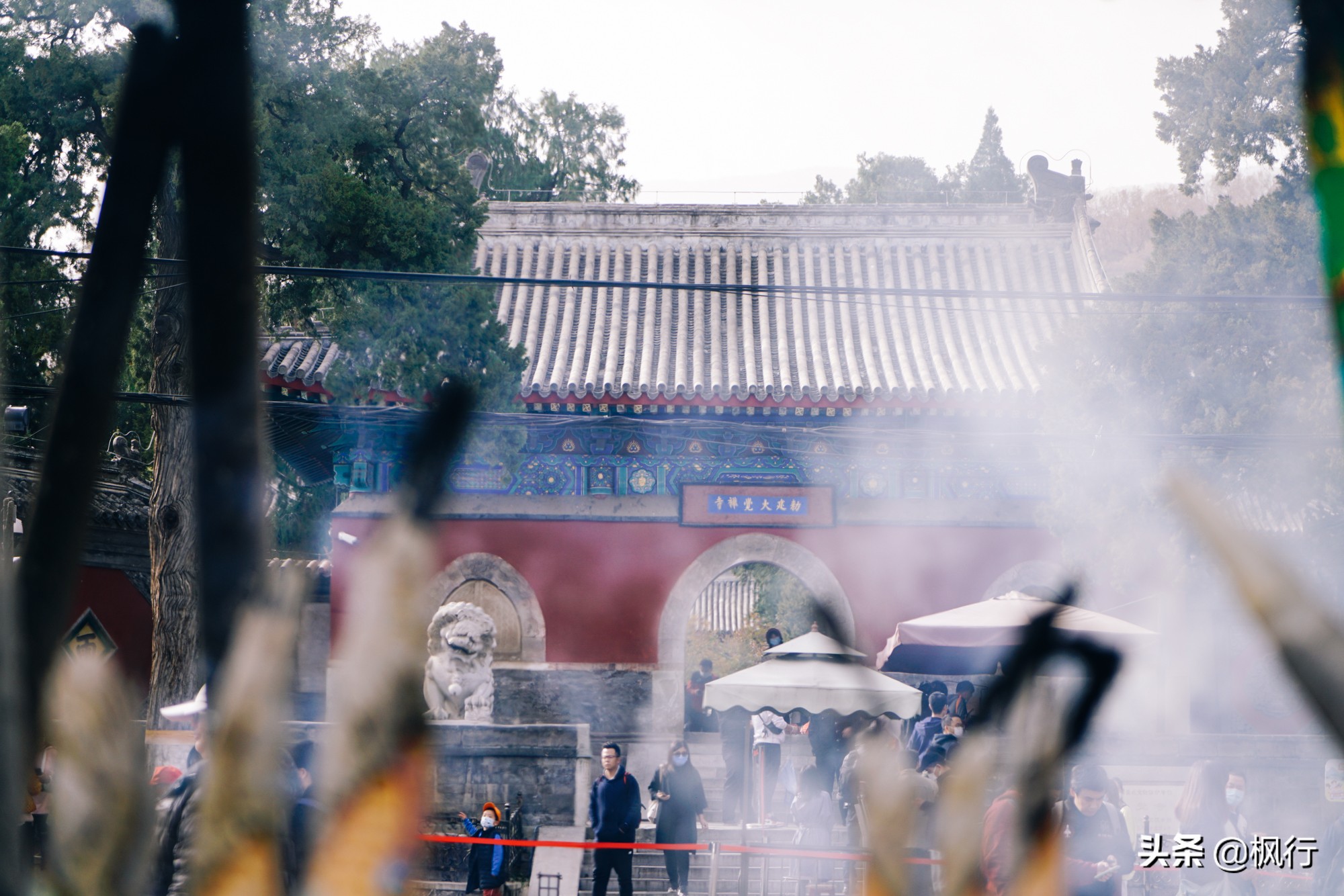 再有半个月，北京将迎来最美的季节，12个银杏宝藏地，附机位攻略