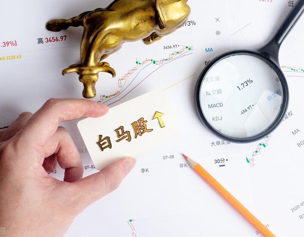 龙头股和蓝筹股的区别是什么?(白马股和蓝筹股的主要区别是什么)