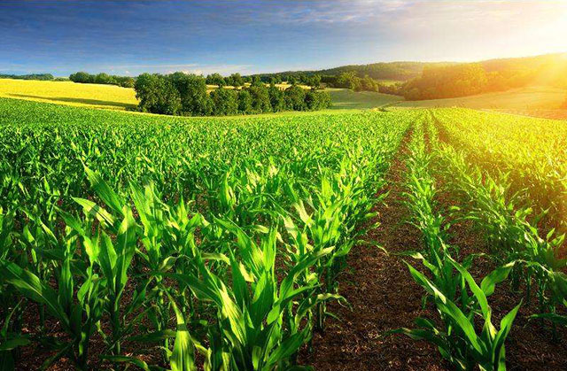 温铁军：中国不能实行农村土地私有化，农业问题不能单拎出来考虑