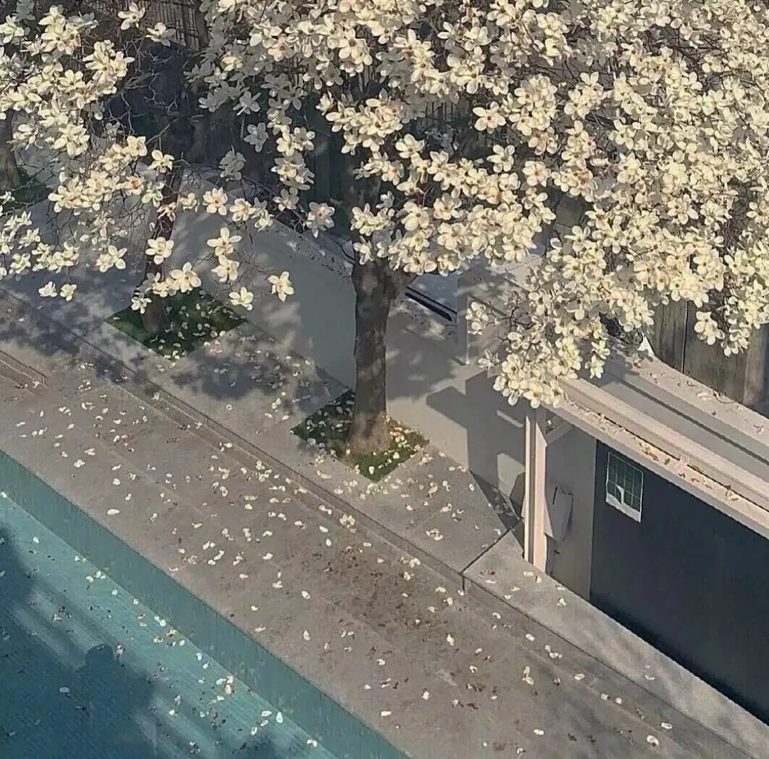 瞬间让前任愧疚的文案，看完你会后悔吗？（情感语录）