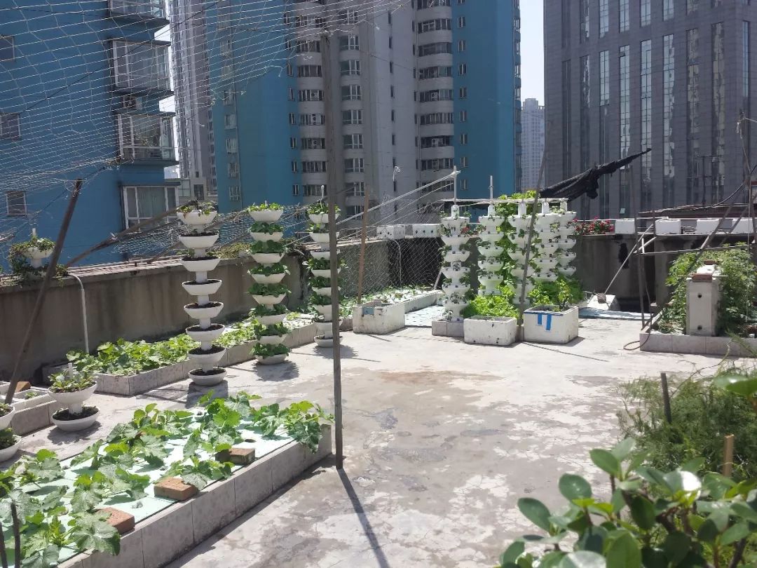 搭棚子最简单办法(介绍一种简单易行搭棚子的方法)