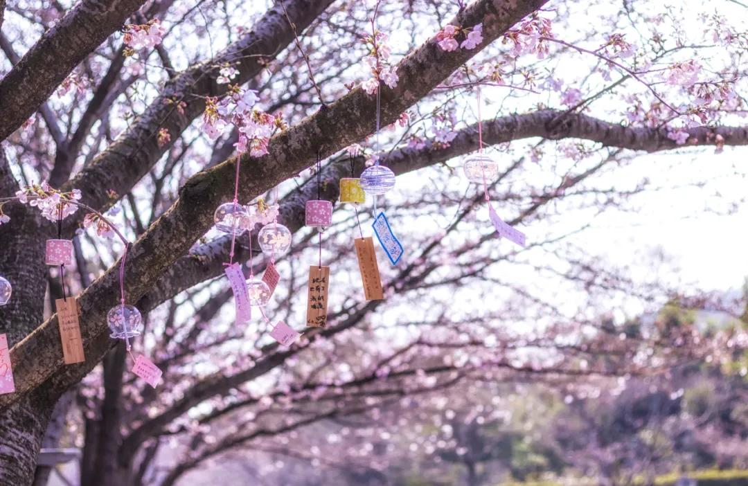 3月最值得去的绝美旅行地,是时候安排一下自己的旅行清单啦