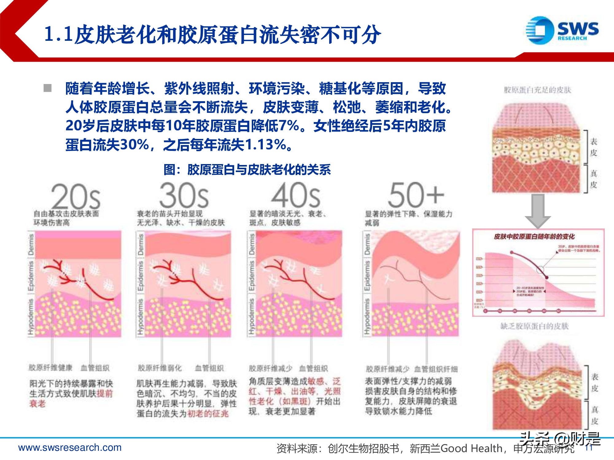 胶原蛋白行业深度研究报告：生物医药材料下一个风口