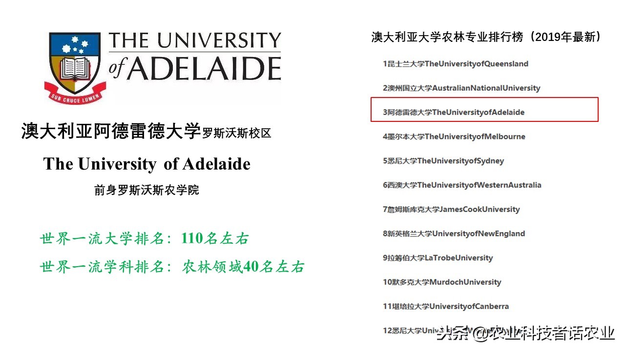 中国农大，荷兰农大，美国农大，日本农大，谁是世界第一农大