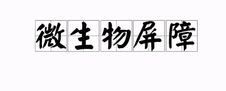 皮肤瘙痒、泛红、干燥怎么办？发现问题、“对症下药”才有效