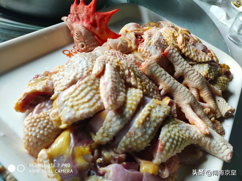 清远北江河边有个小渔村~白庙，还有个娃娃鱼养殖基地雪鲵庄园