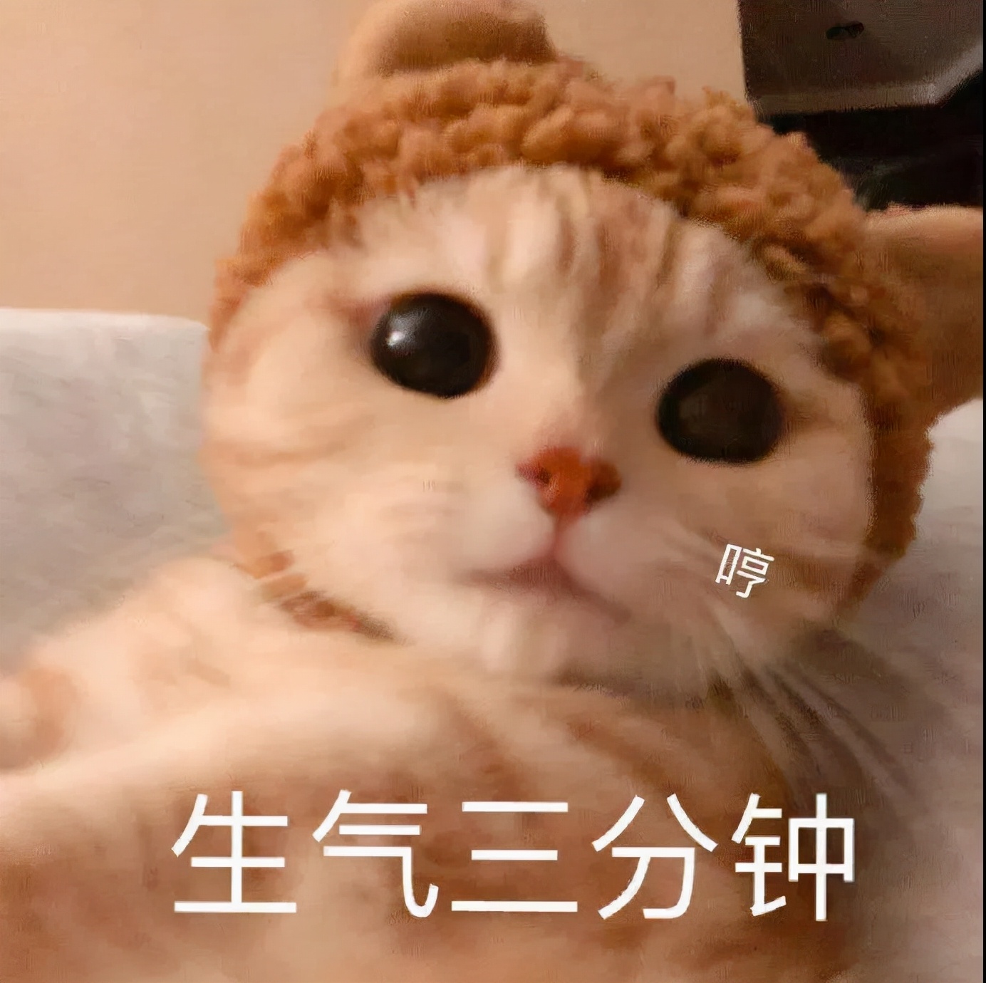 表情包：我要去送外卖了，不跟你们聊了