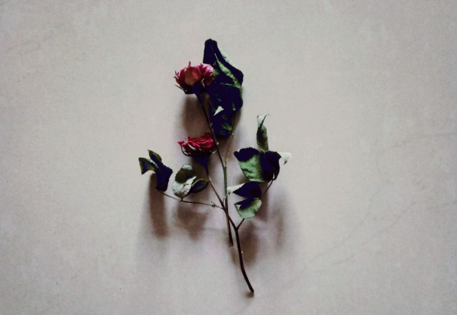 全国中小学生创新作文大赛特等奖作品10篇，满分作文的范文