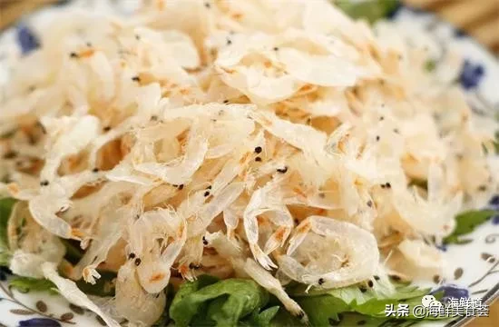 市场常见的102种海鲜，肉质鲜美，营养丰富，你们吃过几种？