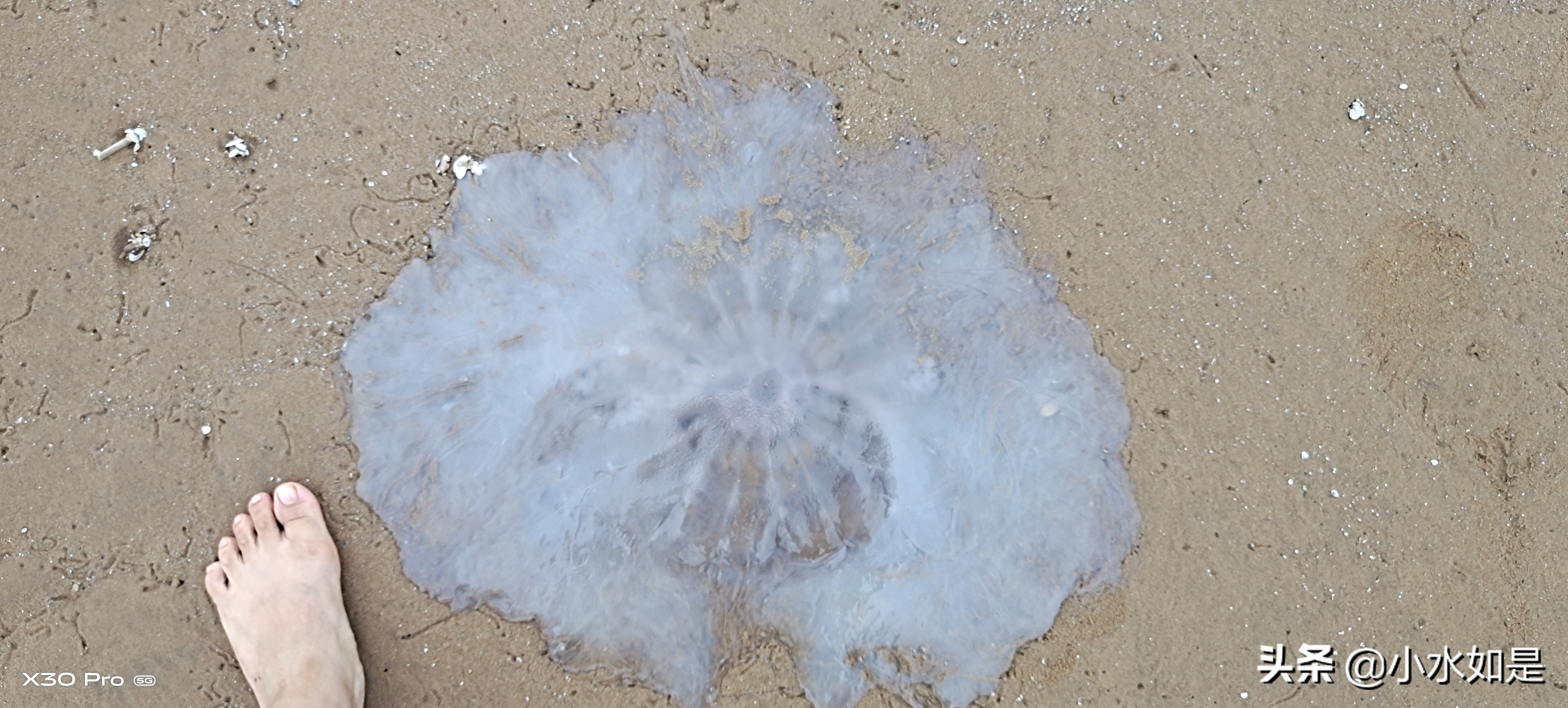 这个暑假，到东戴河去玩海吧！（附个人攻略）