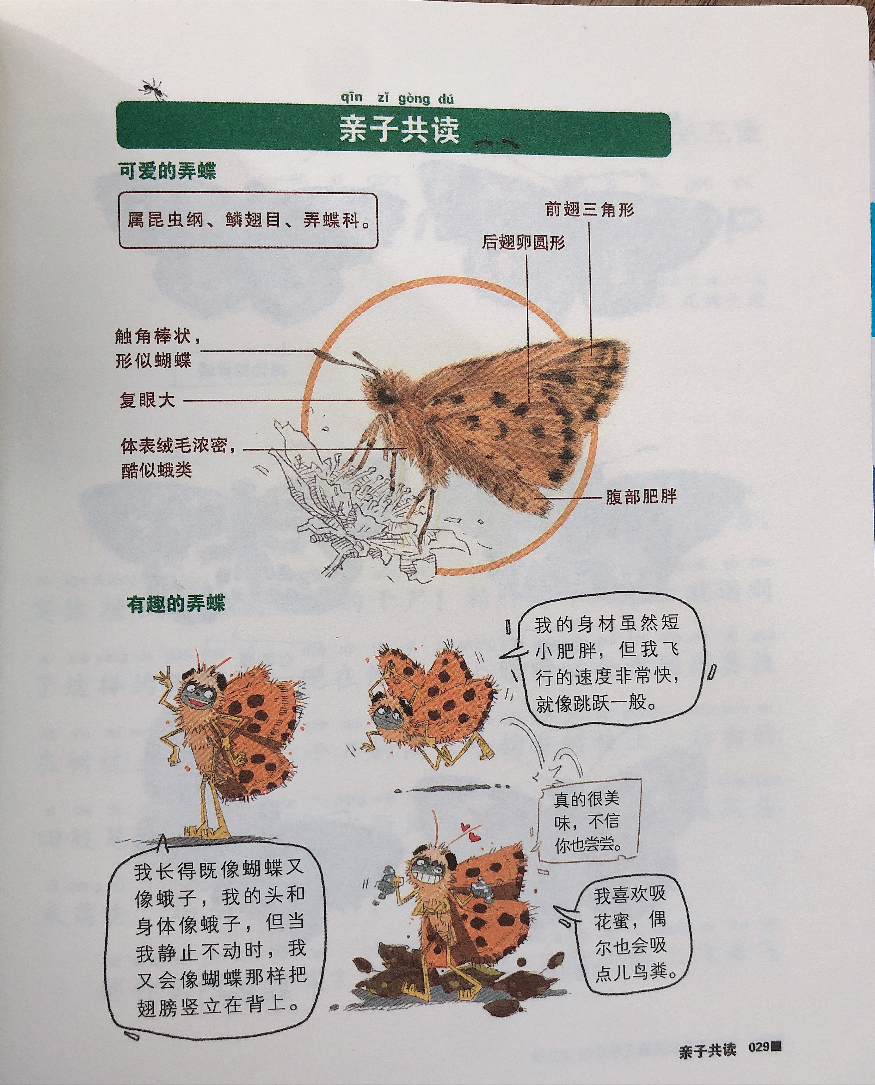 中国科学院昆虫专家力荐：《酷虫学校》，适合孩子的昆虫百科全书