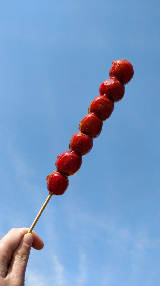 中国传统小吃——冰糖葫芦